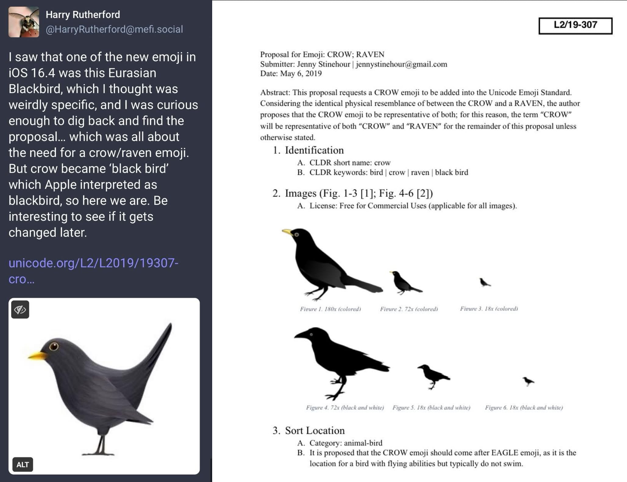 screenshot of mastodon post by @HarryRutherford@mefi.social with text "I saw that one of the new emoji in iOS 16.4 was this Eurasian Blackbird, which I thought was weirdly specific, and I was curious enough to dig back and find the proposal… which was all about the need for a crow/raven emoji. But crow became ‘black bird’ which Apple interpreted as blackbird, so here we are. Be interesting to see if it gets changed later." and a picture of Apple's black bird emoji and a link to unicode proposal "L2/19-307" alongside a screenshot of said proposal with this text: Proposal for Emoji: CROW; RAVEN Submitter: Jenny Stinehour jennystinehour@gmail.com Date: May 6, 2019 Abstract: This proposal requests a CROW emoji to be added into the Unicode Emoji Standard. Considering the identical physical resemblance of between the CROW and a RAVEN, the author proposes that the CROW emoji 10 be representative of both; for this reason, the term "CROW”will be representative of both "CROW” and “RAVEN” for the remainder of his proposal unless.ötherwise stated.1. Identification A. CLDR short name: crow B. CLDR keywords: bird | crow |raven | black bird. Images (Fig. 1-3 [1]; Fig. 4-6 [2)) A. License: Free for Commercial Uses (applicable for all images).3. Sort Location A. Category: animal-bird B. Itis proposed ıhat Ihe CROW emoji should come after EAGLE emoji, as it is the location for a bird with fying abilities but typically do not swim.